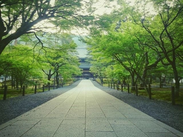 run_kyoto_201504_01