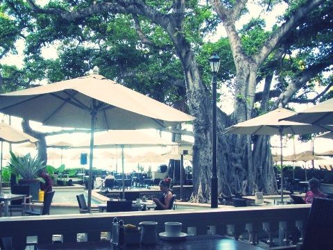 hotel_moana_the_terrace_05