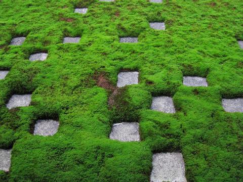 kyoto_tofukuji_hojo_02
