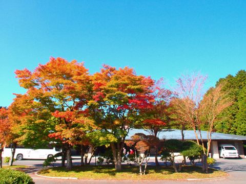 hotel_prince_hakone_05