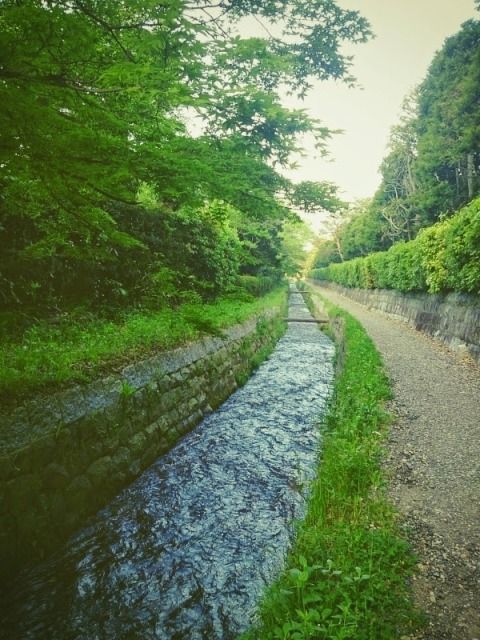 run_kyoto_201504_05