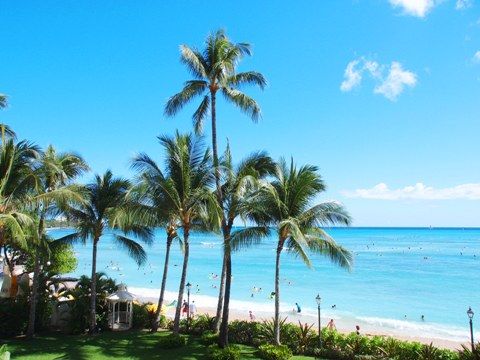 moana_surfrider_05