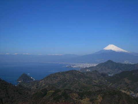izu_katsuragi_01