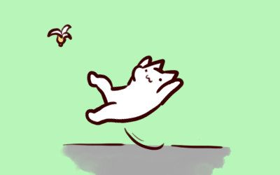 2019-3-13-2