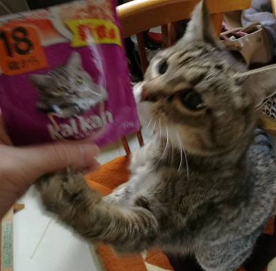 no title