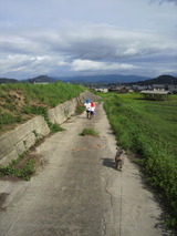 383a9c56.jpg