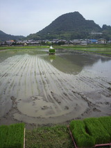 c6d46e5b.jpg