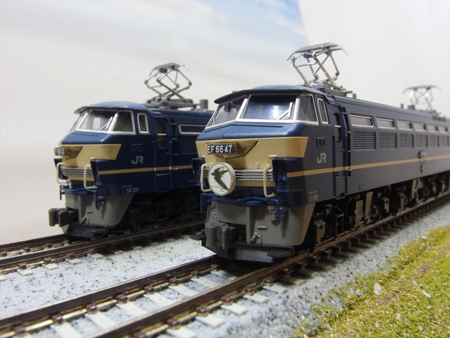 OLY57101_R