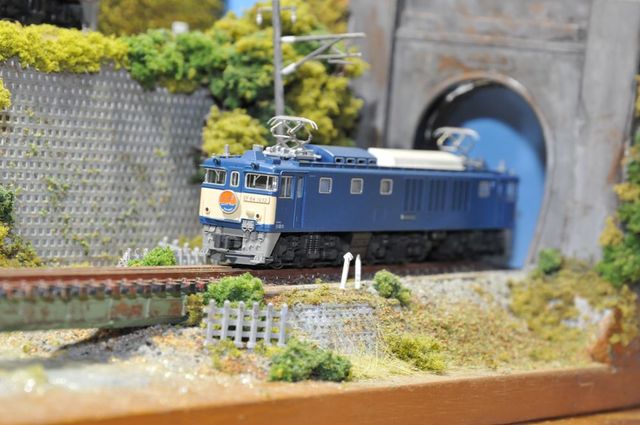 DSC_6638_R.jpg