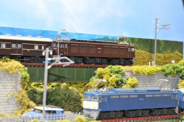 DSC_6636_R.jpg