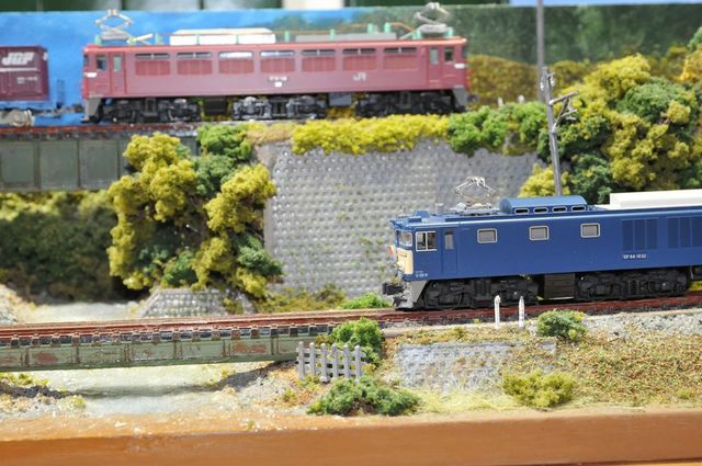 DSC_6639_R.jpg