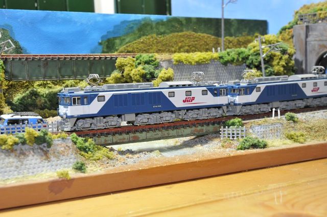 DSC_6627_R.jpg