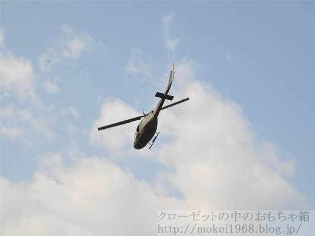 DSC_6118_R