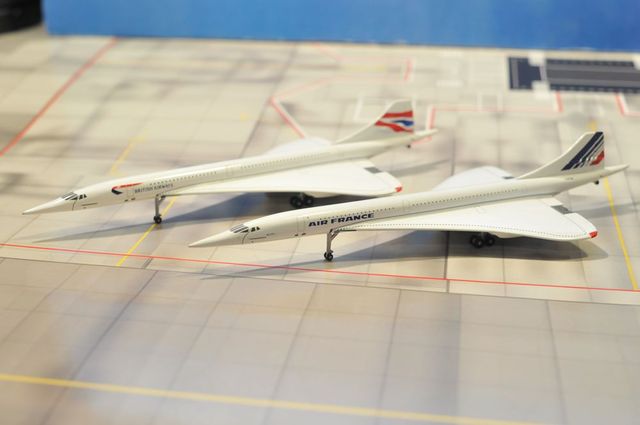 DSC_8411_R.jpg