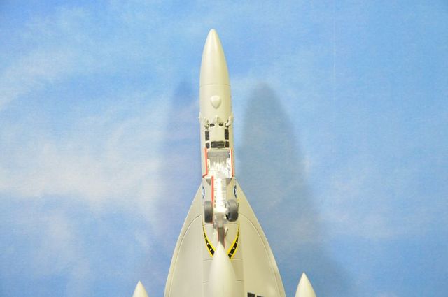 DSC_7989_R.jpg