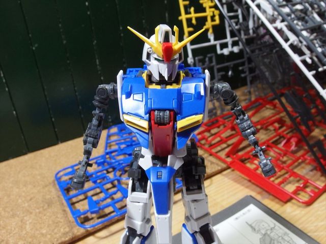 OLY63007_R.jpg