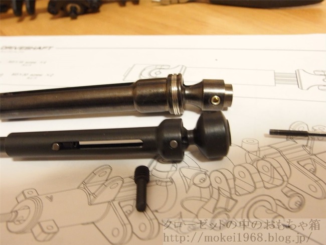 OLY20772_R