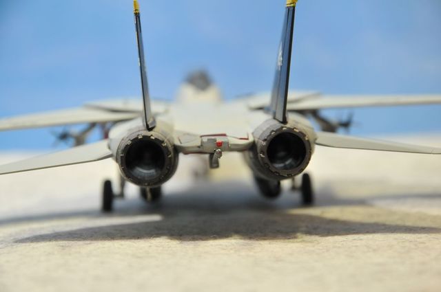 DSC_7956_R.jpg