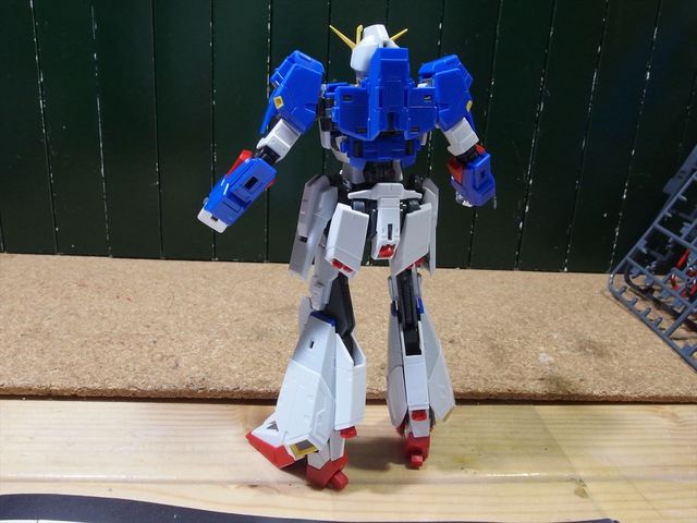 OLY63022_R.jpg