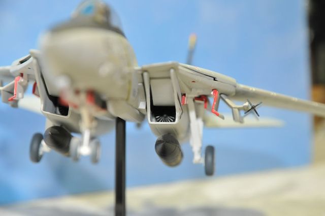 DSC_7967_R.jpg