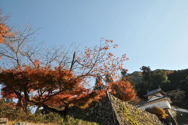 DSC_8458_R.jpg