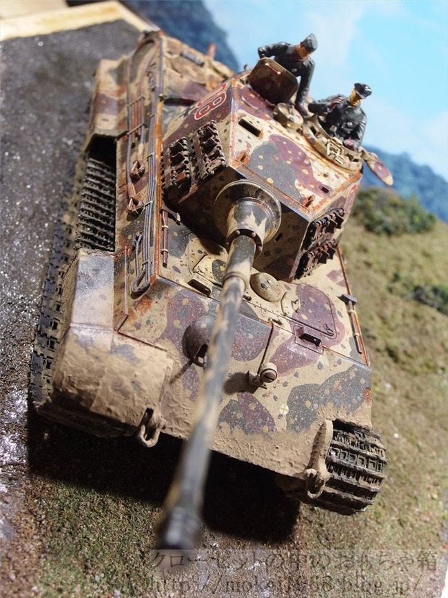 OLY32995_R