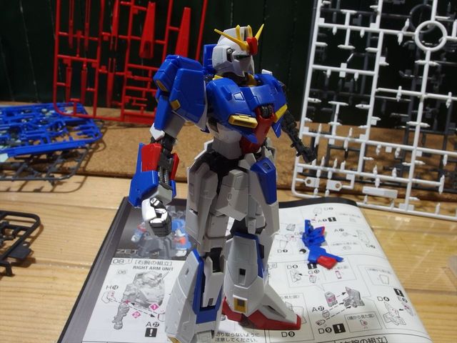 OLY63017_R.jpg