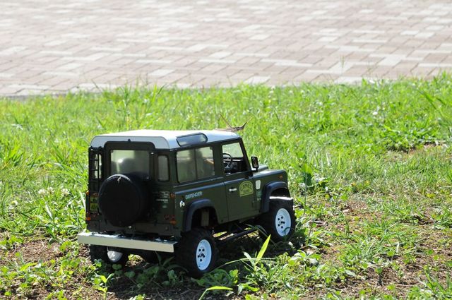 DSC_6535_R.jpg