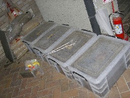 muri