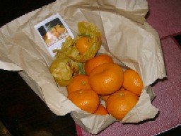 mikan