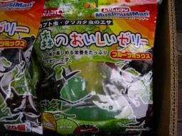 hajimari