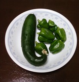 2f1dc5f9.jpg