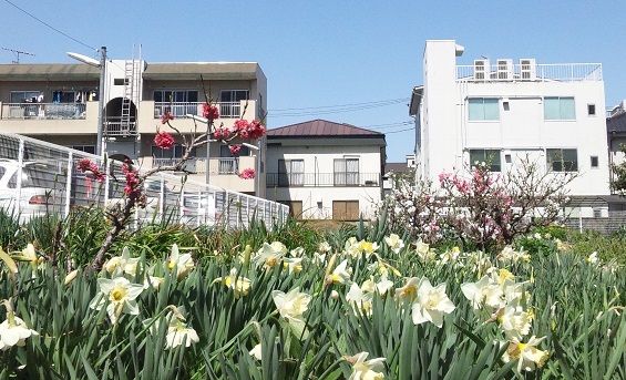 20130321¸æ¶á½ê