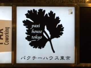 パクチー4