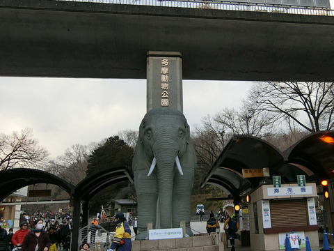 tama