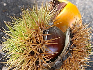 05