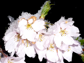 09