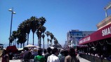 VeniceBeach