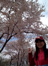 満開の桜&もこ