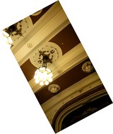 cbd12752.jpg