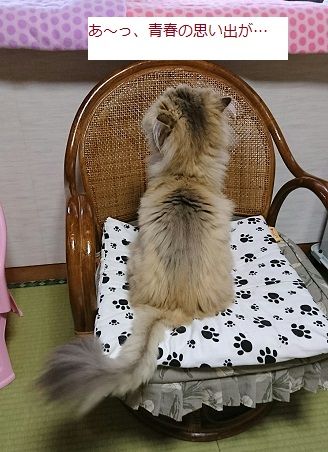 _20180517_181030