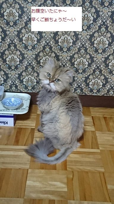 1501060511110