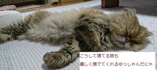 _20180507_120226