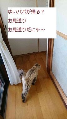 1524991414843