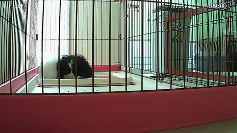 20171005_140908_XWL-236184-NCXNE_640