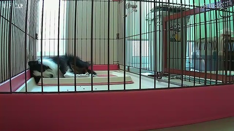 20171005_151022_XWL-236184-NCXNE_643