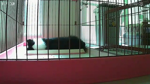 20171005_120228_XWL-236184-NCXNE_631