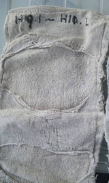 2aa8c7f5.jpg