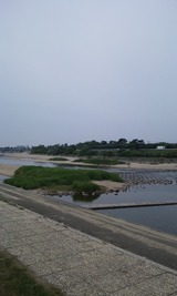 55e73045.jpg