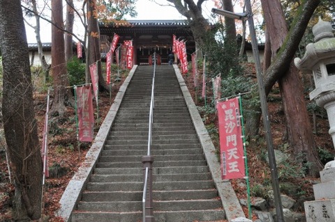 D75541t